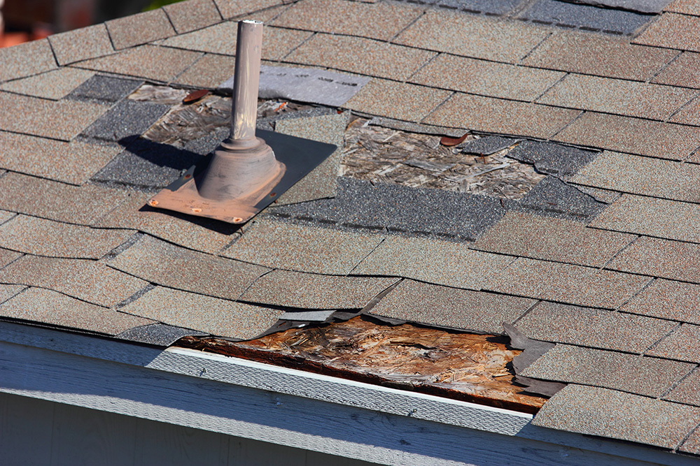 Hail Damage Public Adjuster - ProFloridian