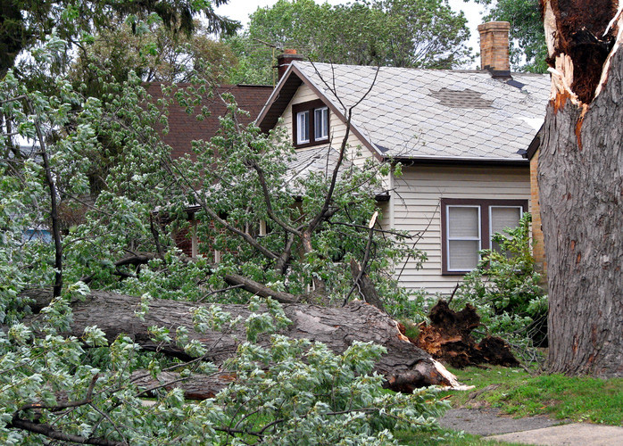 Wind Damage Public Adjuster 2 - ProFloridian