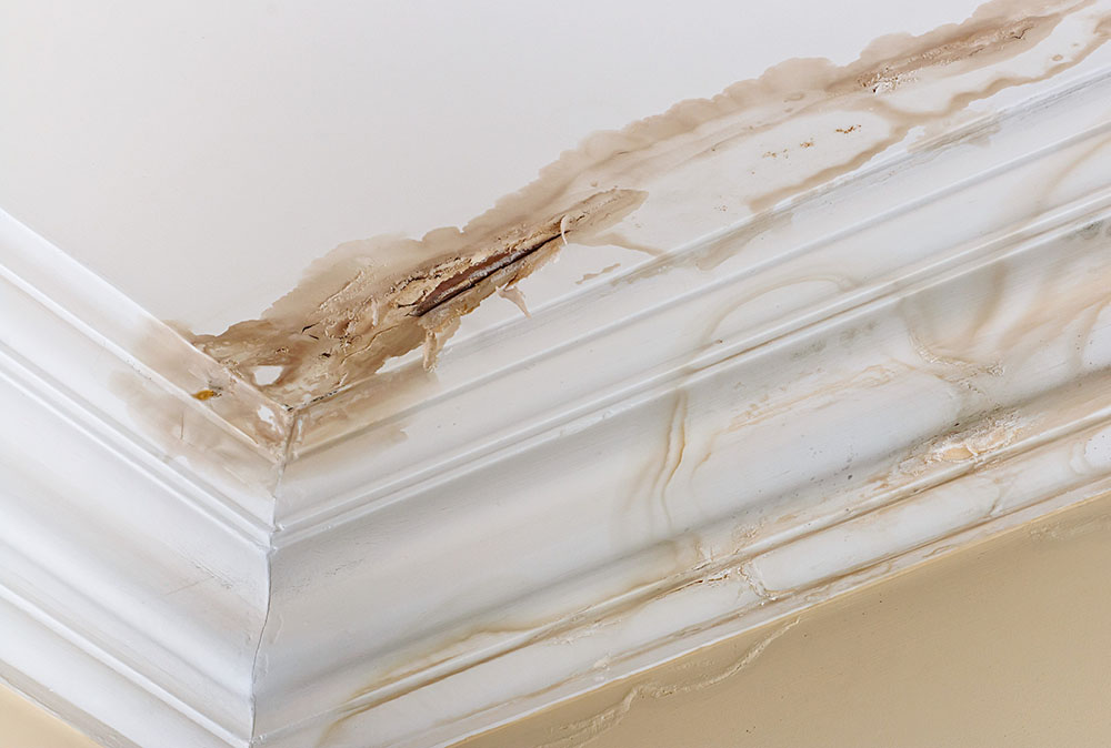 Water Leaks Damage Public Adjuster - ProFloridian