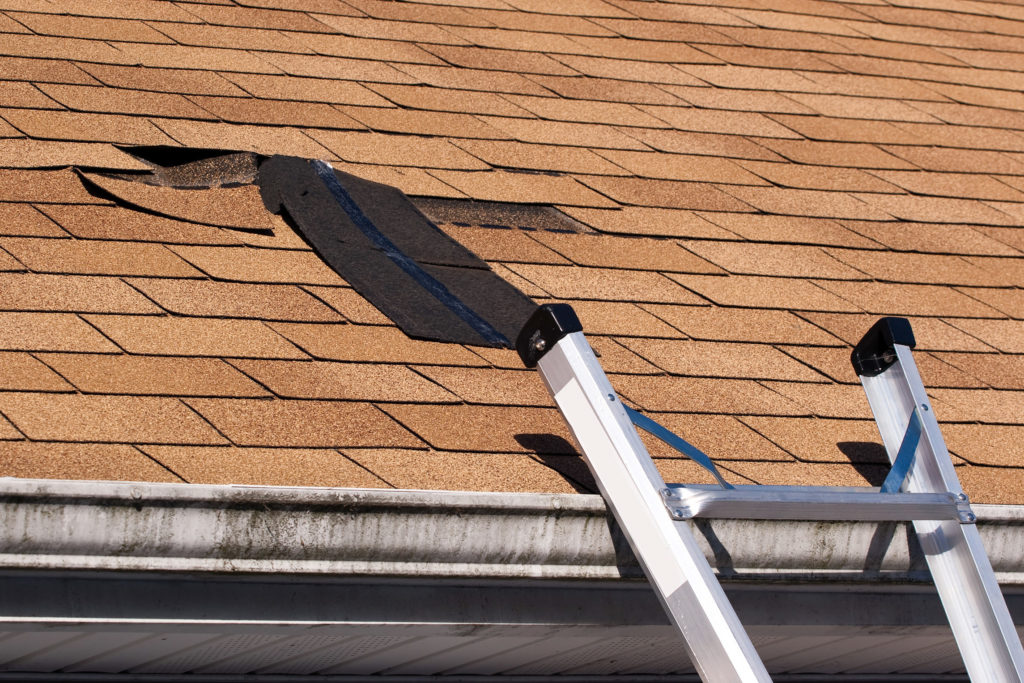 Roof Damage Public Adjuster - ProFloridian