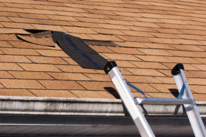 ProFloridian Public Adjuster roof