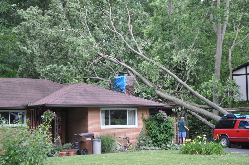 Wind Damage Public Adjuster - ProFloridian