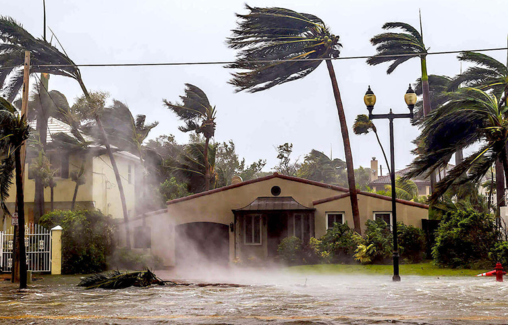 ProFloridian - Hurricane Damage Public Adjuster