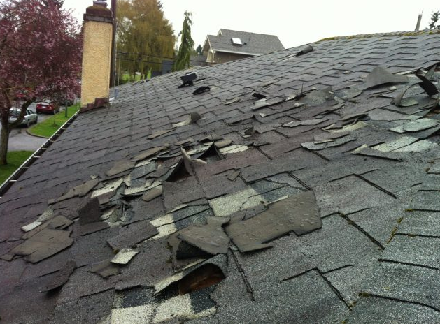 ProFloridian - Roof Damage Public Adjuster