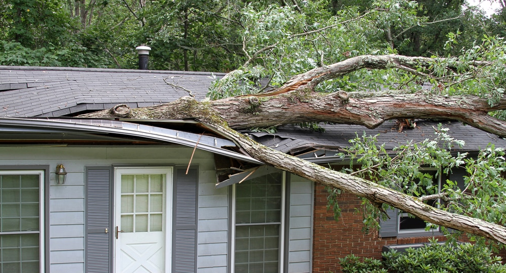 ProFloridian - Wind Damage Public Adjuster